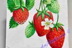 3-Strawberries-3-babies-1-flower-4x4-April-21-2023_LR25