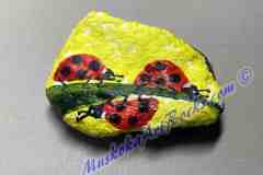 3-ladybugs-on-yellow-1.5x2-inches-May-12-2023_LR25