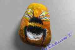 Bumblebee-on-small-rock-2-x-1.5-inches_LR25