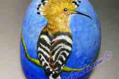 HOOPOE-3x3.5-inches-May-26-2023_LR25