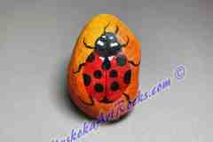 Ladybug-on-orange-April-4-2023_LR25