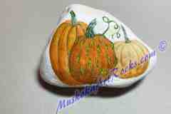 Pumpkin  1 of 4 - outdoor napkin weigh