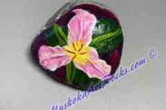 Purple-Trillium-2x2-inches-May-10-2023_LR25