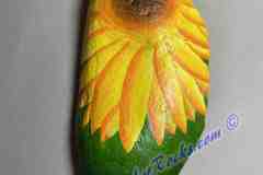 Sunflower On Green
