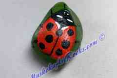 Single Ladybug