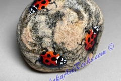 3 Ladybugs On Muskoka Rock