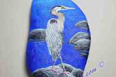 Great Blue Heron on Rock 2