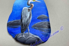 Great Blue Heron On Rock