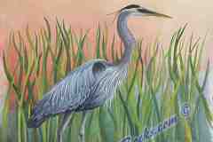 Heron In Pond