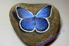 Kerner Butterfly