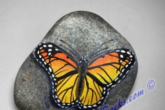 Monarch Butterfly