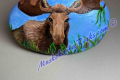 Muskoka Moose
