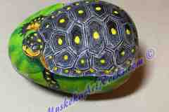 Ontario Yellow Spotted Turtle