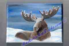 Resting Moose In Snow - Canvas