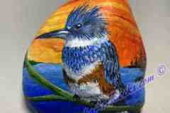 Ringed-Kingfisher-3.5x3.5-inches-May-26-2023_LR25