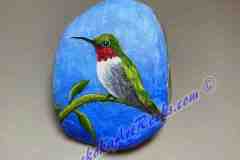 Ruby-Throated-Hummingbird-April2-2023_LR25