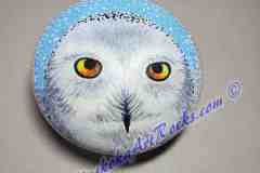 Snowy Owl 2