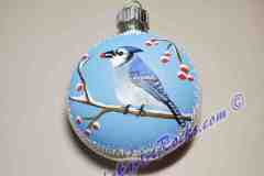 Winter Blue Jay