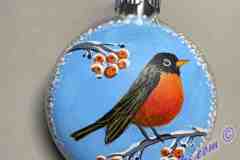 Winter Robin With Berries