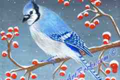 Winter Blue Jay on canvas