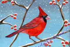 Winter Cardinal on canvas