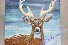 Winter Deer