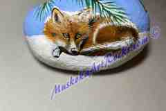 Winter Fox on rock