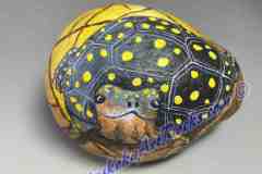 YELLOW-SPOTTED-TURTLE-3.5x3-2023_LR25