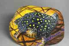 YELLOW-SPOTTED-TURTLE-5.5x4-2023_LR25