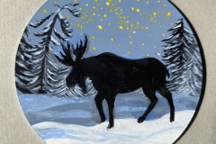 Algonquin Moose