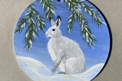 Snow Hare